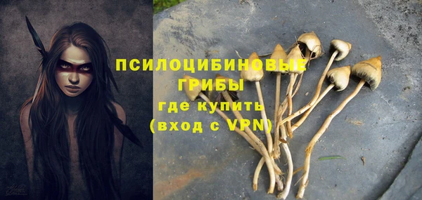 гидра Верхнеуральск