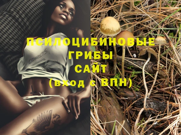 бутират Верея