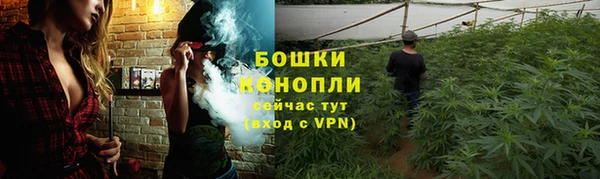 jwh Бородино