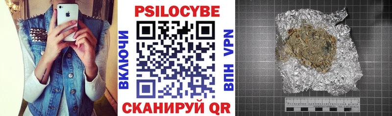 блэк спрут зеркало  купить  цена  Наро-Фоминск  Псилоцибиновые грибы Psilocybine cubensis 