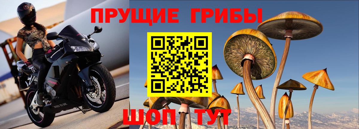 Галлюциногенные грибы MAGIC MUSHROOMS  Вход с VPN  Наро-Фоминск 